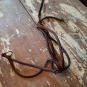 Vintage horse halter?